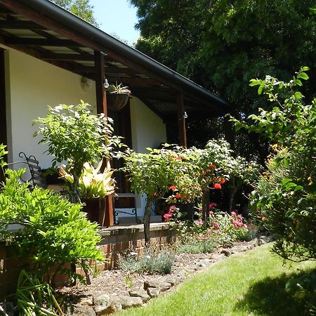 Wagners Cottages Swansea Esterno foto