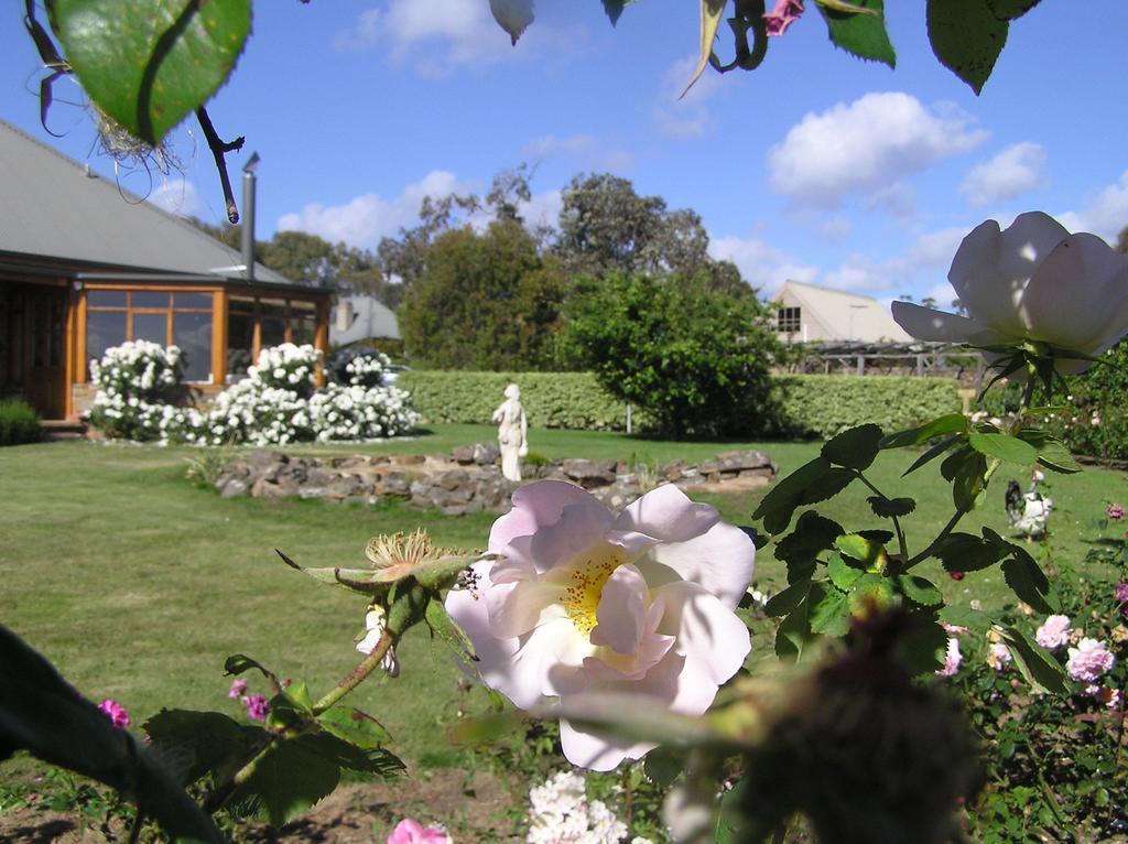 Wagners Cottages Swansea Esterno foto