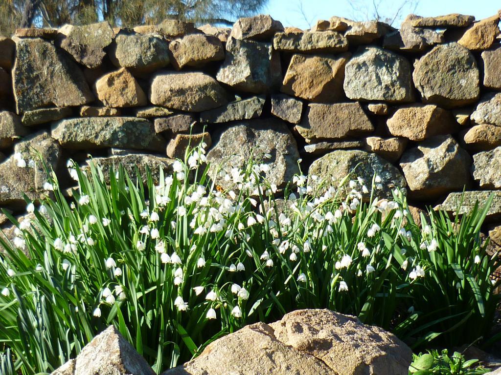 Wagners Cottages Swansea Esterno foto