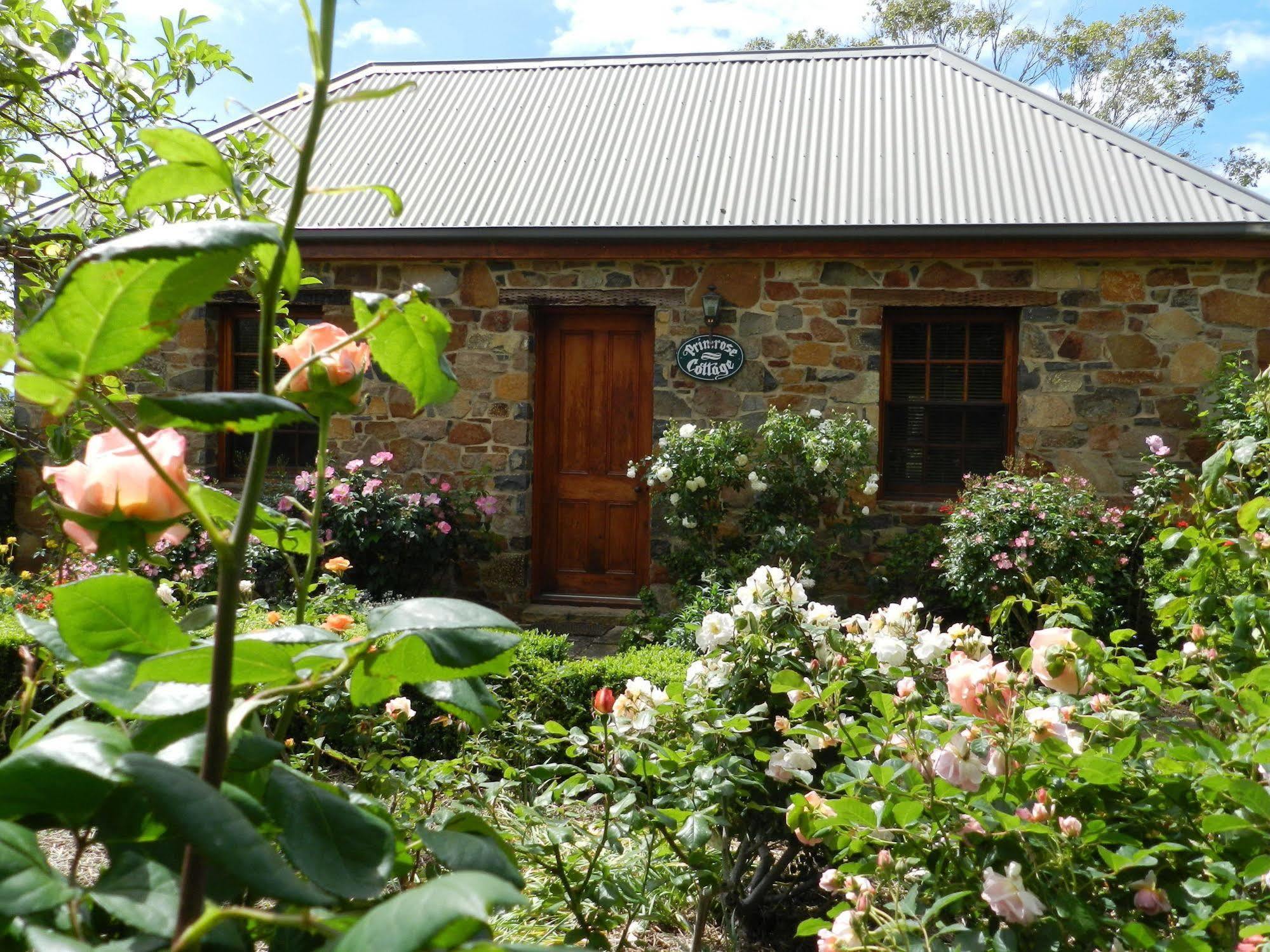 Wagners Cottages Swansea Esterno foto