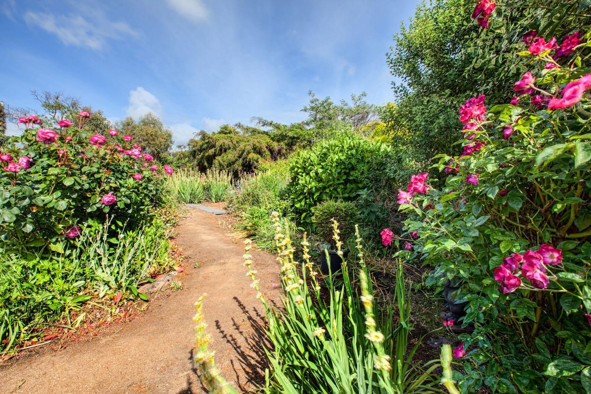 Wagners Cottages Swansea Esterno foto